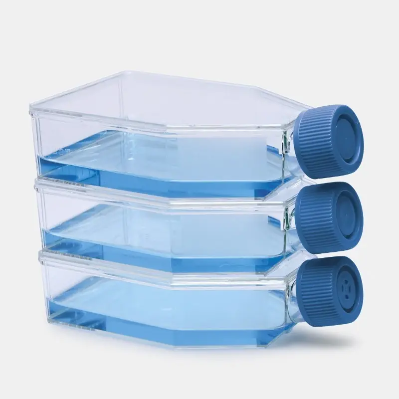 İsolab 75 cm² Hücre Kültürü Şişesi Geçirgen Kapaklı 25 ml 100 adet Laboratuvar Tipi