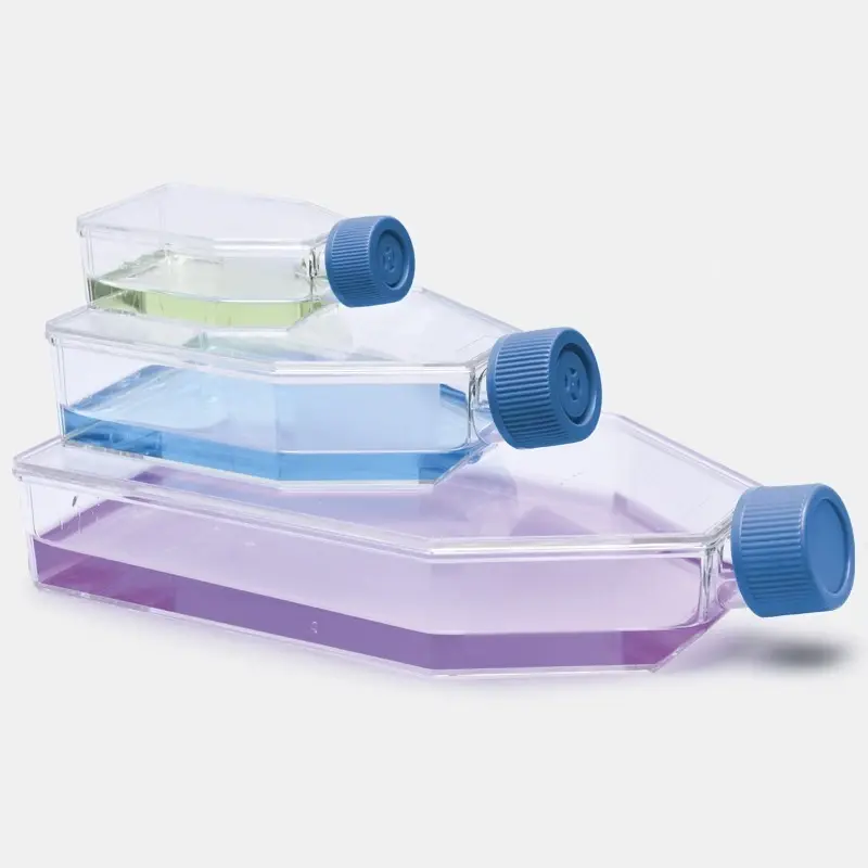 İsolab 175 cm² Hücre Kültürü Şişesi Düz Kapaklı 50 ml 40 adet Laboratuvar Tipi