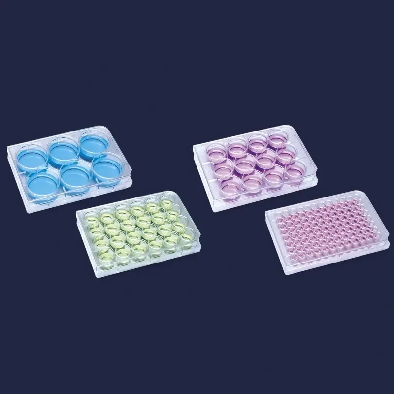 İsolab 6 Kuyulu Düz Tabanlı Hücre Kültürü Plağı 3 ml 100 Adet Paket